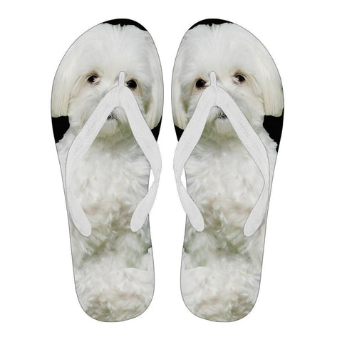 Maltese Flip Flops For Men-Free Shipping Limited Edition