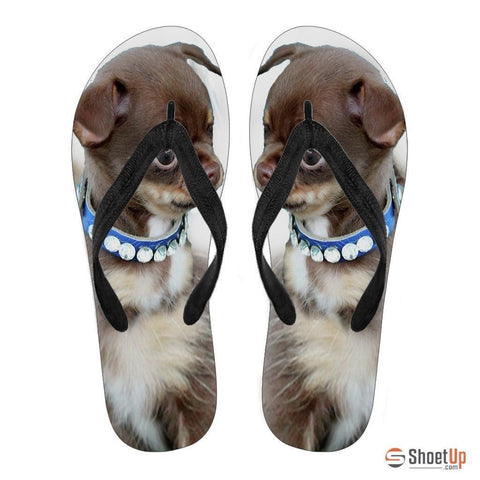 Chihuahua Puppy Flip Flops For Women-Free Shipping