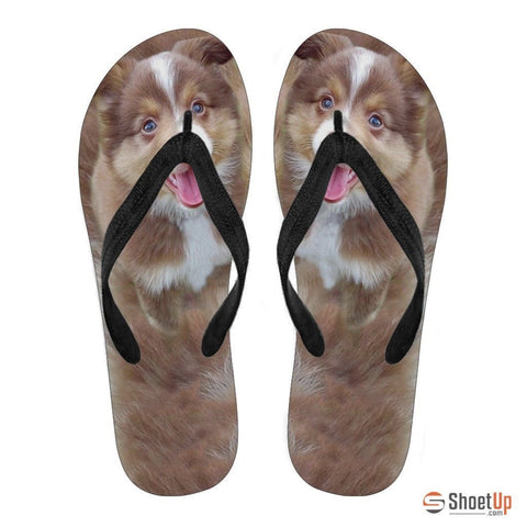 Miniature Australian Shepherd Puppy Flip Flops For Women-Free Shipping