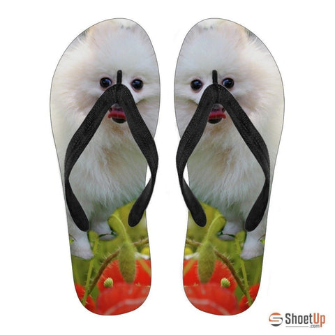 Pomeranian Flip Flops For Women-Free Shipping