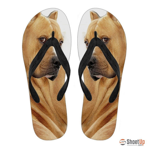 Pitbull Flip Flops For Women-Free Shipping