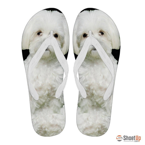 Maltese Flip Flops For Women-Free Shipping