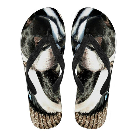 Boston Terrier Women's Flip Flops- Free Shipping