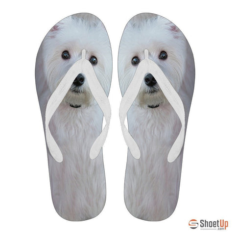 Westie Flip Flops For Women-Free Shipping