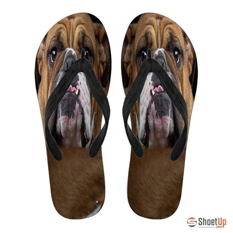 Bulldog Flip Flops For Women-Free Shipping