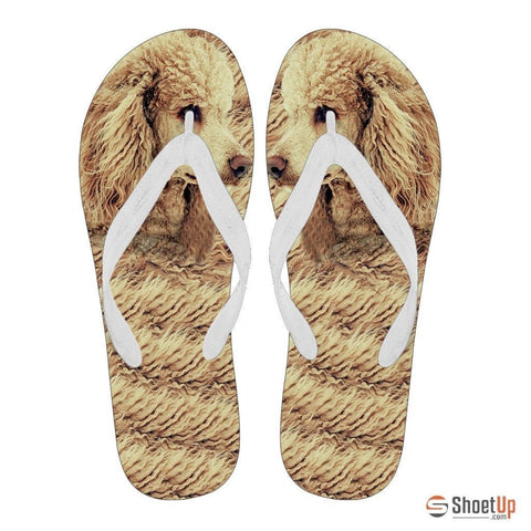 Poodle Flip Flops For Men-Free Shipping Limited Edition