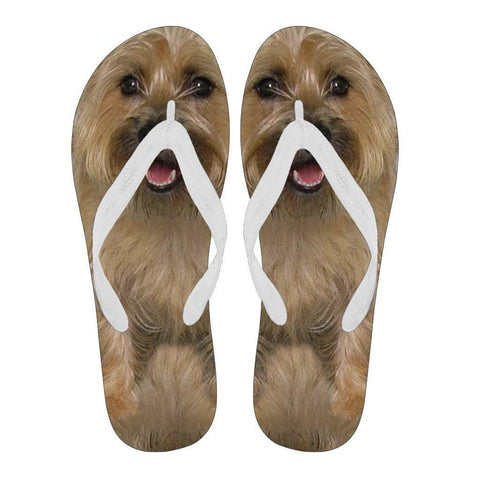 Cairn Terrier Flip Flops For Men-Free Shipping