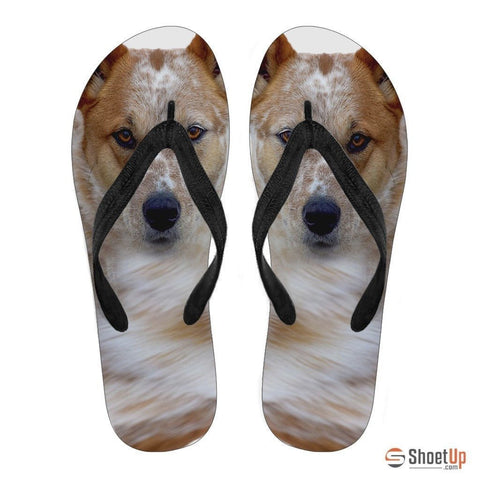 Australian Cattle Print Flip Flops For Men- Free Shipping