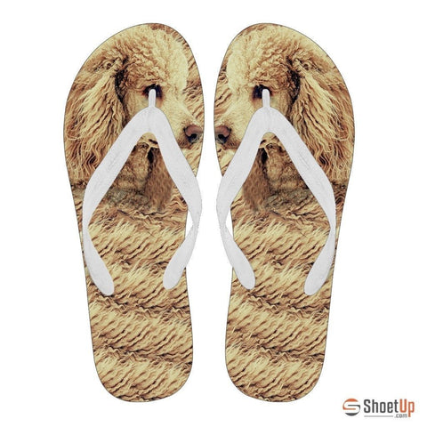 Poodle Flip Flops For Women-Free Shipping