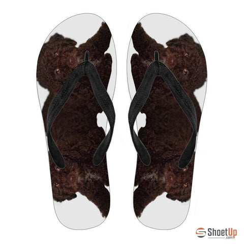 Spanish Water Dog Print Flip Flops For Women-Free Shipping