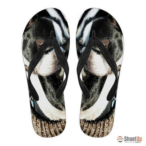 Boston Terrier Men's Flip Flops- Free Shipping