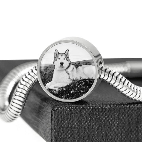 Alaskan Malamute Print Circle Charm Luxury Bracelet -Free Shipping