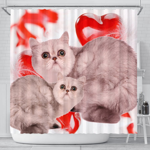 Exotic Shorthair Cat On Red Print Shower Curtains-Free Shipping