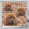 Redbone Coonhound Print Shower Curtains-Free Shipping