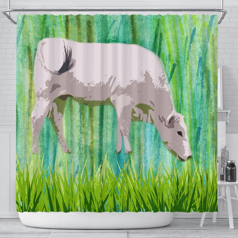 Chianina Cattle (Cow) Art Print Shower Curtain-Free Shipping