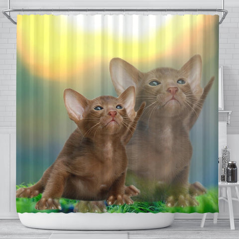 Cute Oriental Shorthair Cat  Print Shower Curtains-Free Shipping