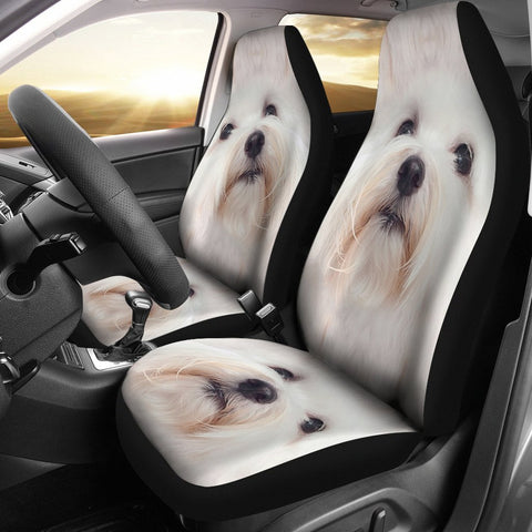 Coton de Tulear Dog Print Car Seat Covers-Free Shipping