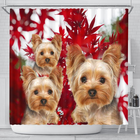 Yorkshire Terrier On Red Print Shower Curtains-Free Shipping