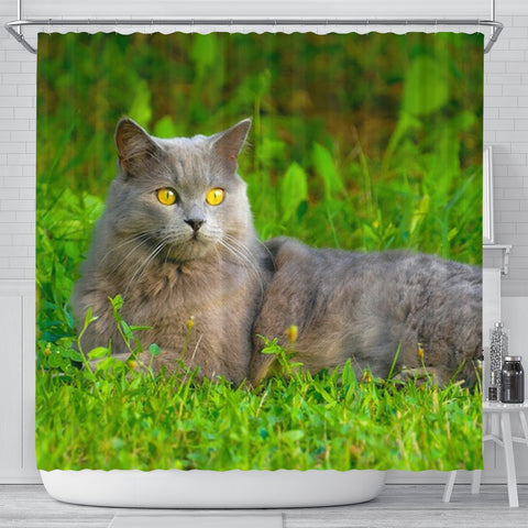 Chartreux Cat Nature Print Shower Curtain-Free Shipping