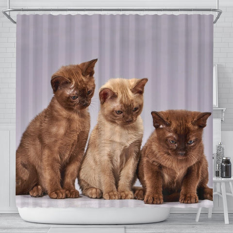 Three Burmese Cat Print Shower Curtain-Free Shipping