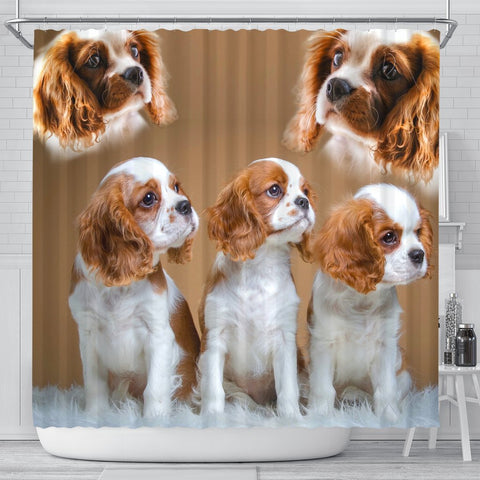 Cavalier King Charles Spaniel Print Shower Curtain-Free Shipping