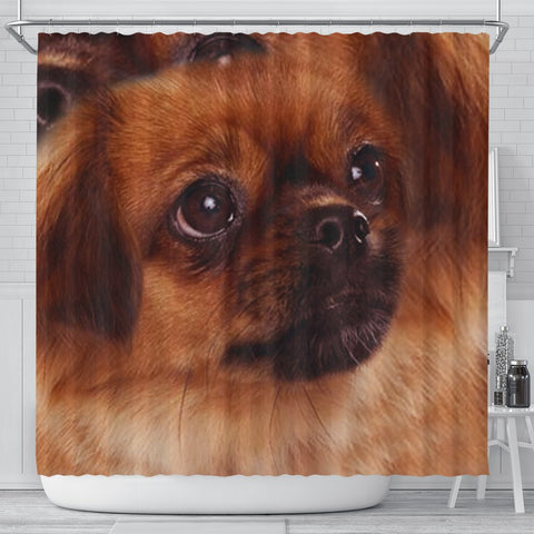 Tibetan Spaniel Dog Print Shower Curtain-Free Shipping