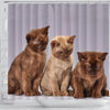 Three Burmese Cat Print Shower Curtain-Free Shipping